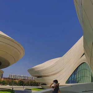 老阿姨泻火泄火
