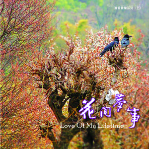 老阿姨泻火泄火
