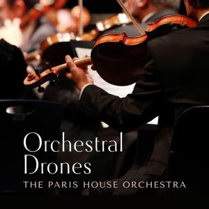 老阿姨泻火泄火
